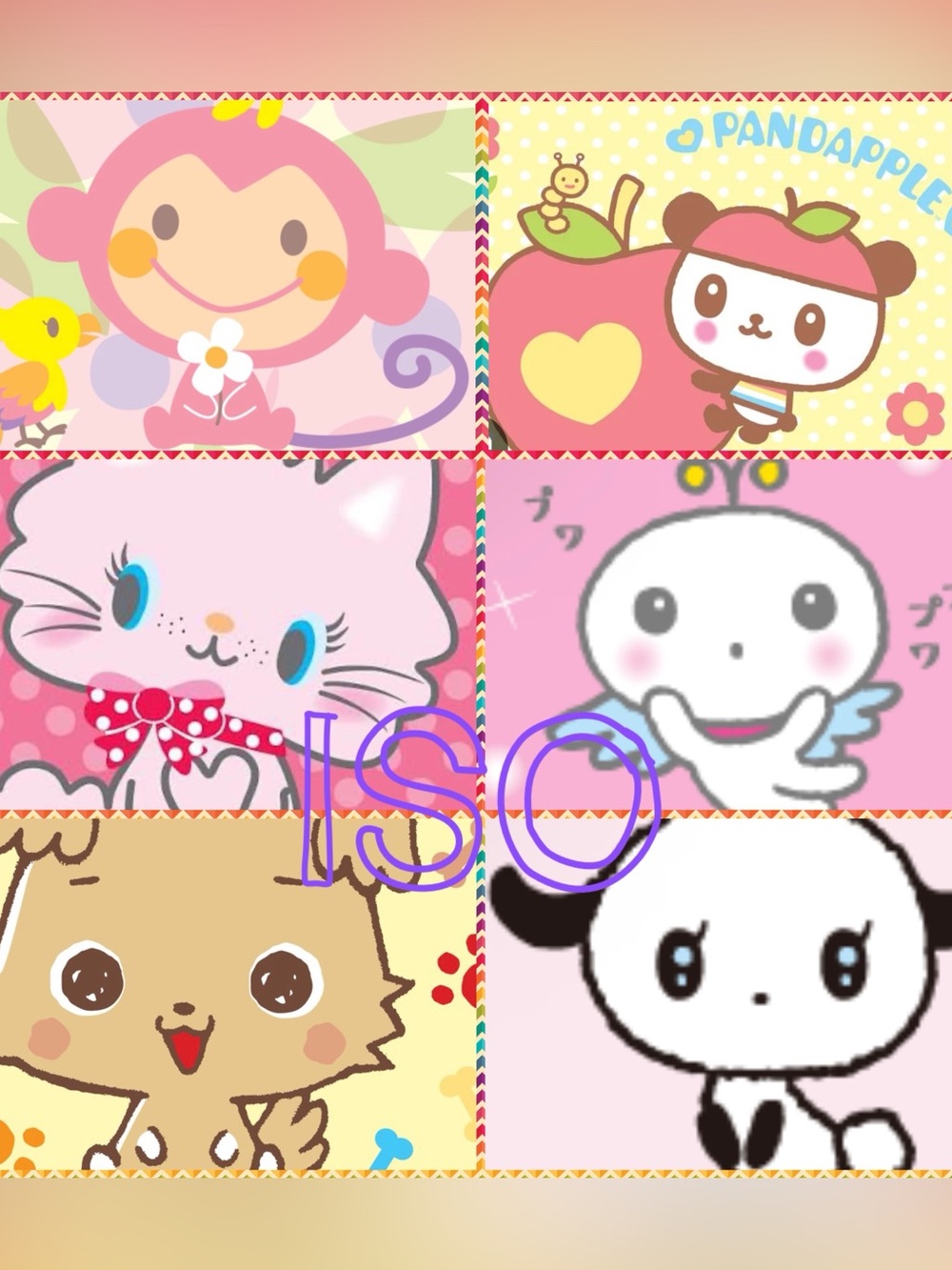 ISO In search of Sanrio